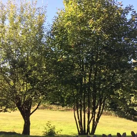 Emotion Zentrumsnah Fuer Bis Zu 6 Personen Winterberg